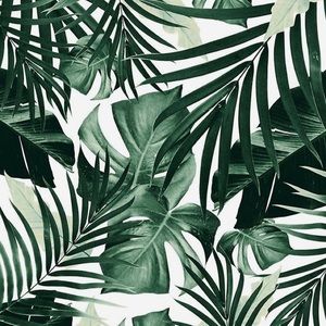 Meet your Posher, Chelsea